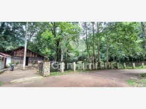 Terreno en venta en El Texme, Tenango de Doria, Hidalgo