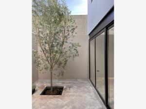 Casa en renta en Alto Lago Residencial, San Luis Potosí — foto 2 de 24