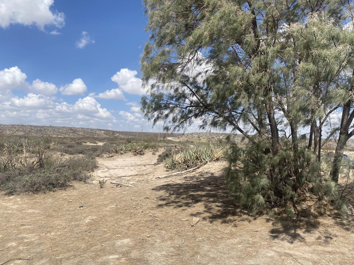 Terreno en venta en San Antonio del Jaral, General Cepeda — foto 1 de 12