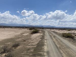 Terreno en venta en San Antonio del Jaral, General Cepeda — foto 2 de 12
