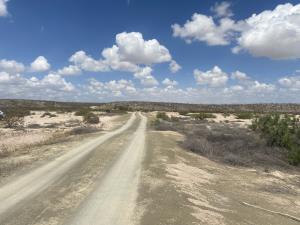 Terreno en venta en San Antonio del Jaral, General Cepeda — foto 3 de 12