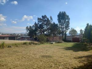 Terreno en venta en Santa María Tonantzintla, San Andrés Cholula — foto 3 de 8