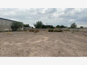 Terreno en renta en Valle del Guadiana, Gómez Palacio — foto 3 de 7