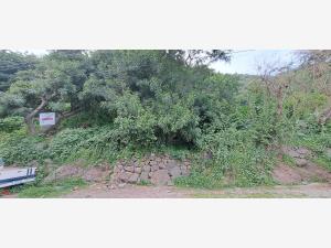 Terreno en venta en San Pedro Itzican, Poncitlán — foto 2 de 17