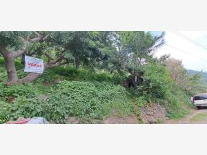 Terreno en venta en San Pedro Itzican, Poncitlán — foto 3 de 17