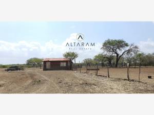 Terreno en venta en Tamaulipas, González — foto 3 de 5