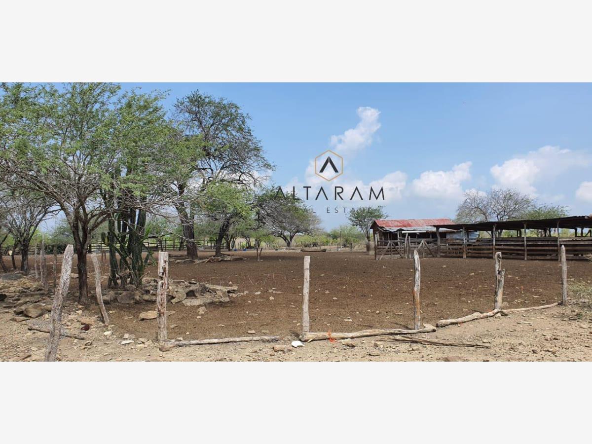 Terreno en venta en Tamaulipas, González — foto 1 de 5