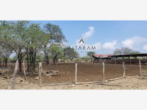 Terreno en venta en Tamaulipas, González, Tamaulipas