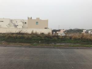 Terreno en venta en Real Mandinga, Alvarado — foto 2 de 3