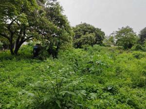 Terreno en venta en Santiago Tepetlapa, Tepoztlán — foto 3 de 11