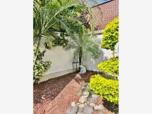 Casa en venta en Palmira Tinguindin, Cuernavaca — foto 3 de 30