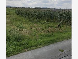 Terreno en venta en San Miguel Totocuitlapilco, Metepec — foto 2 de 3