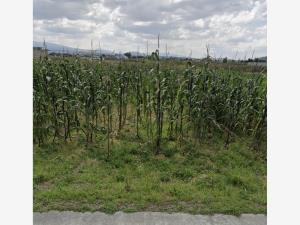 Terreno en venta en San Miguel Totocuitlapilco, Metepec — foto 3 de 3