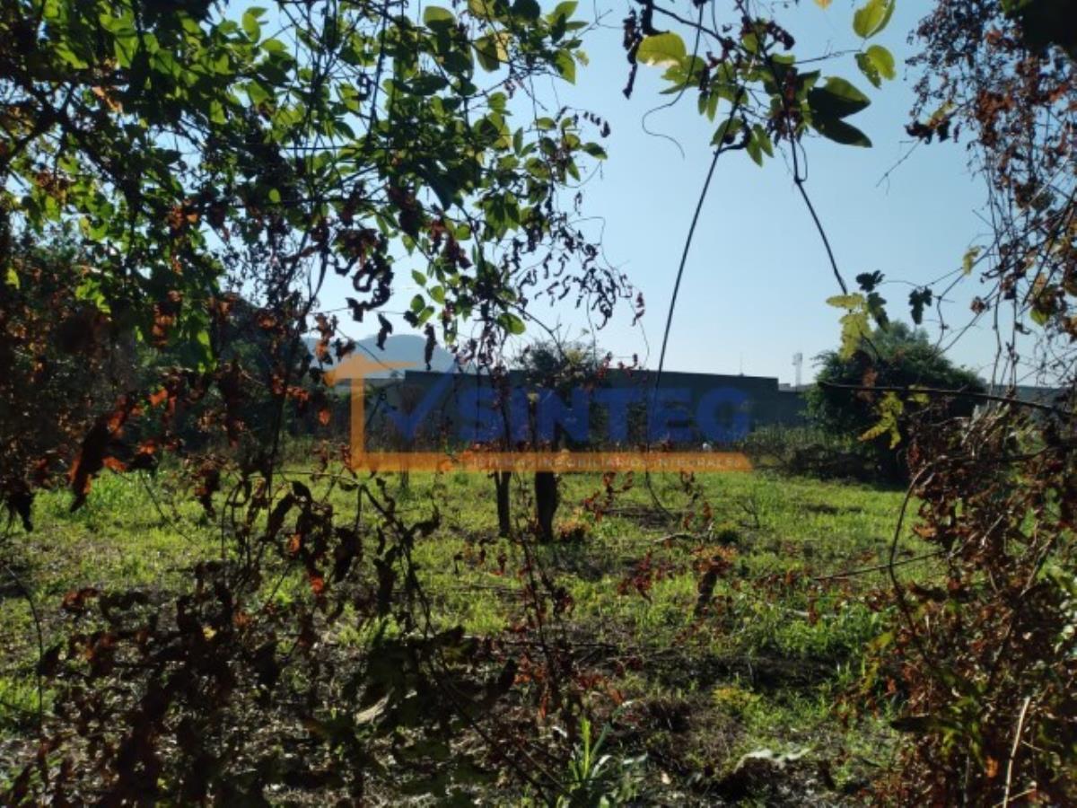 Terreno en venta en Primavera, Poza Rica de Hidalgo — foto 1 de 16