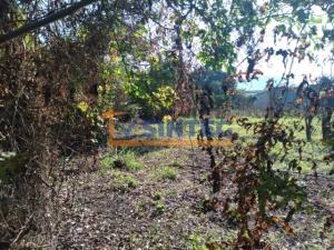 Terreno en venta en Primavera, Poza Rica de Hidalgo — foto 2 de 16