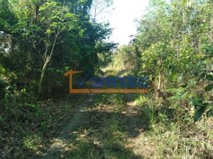 Terreno en venta en Primavera, Poza Rica de Hidalgo — foto 3 de 16
