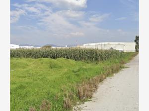 Terreno en venta en San Blas Otzacatipan, Toluca — foto 2 de 3