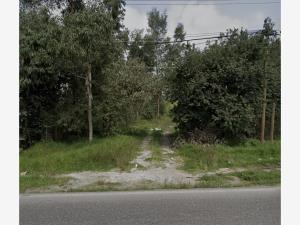 Terreno en venta en San Miguel Ameyalco, Lerma — foto 2 de 3
