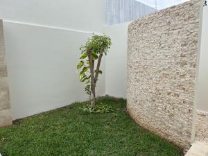 Casa en venta en Santa Gertrudis Copo, Mérida — foto 3 de 14