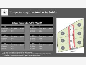 Terreno en venta en Palmira, Cuernavaca — foto 3 de 9