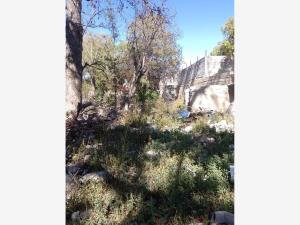 Casa en venta en Parras de la Fuente Centro, Parras — foto 2 de 5