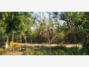 Terreno en venta en El Infiernillo, Medellín de Bravo — foto 3 de 4