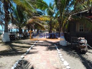 Terreno en venta en Tenixtepec, Papantla — foto 3 de 8