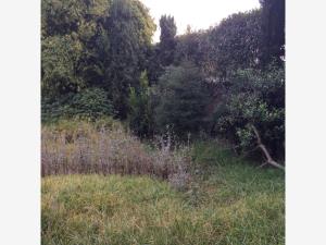 Terreno en venta en San Jeronimo Lidice, La Magdalena Contreras — foto 2 de 6