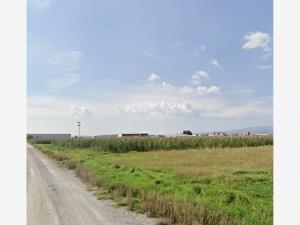 Terreno en venta en San Blas Otzacatipan, Toluca — foto 3 de 4