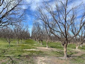 Finca-Rancho en venta en José Mariano Jiménez Centro, Jiménez, Chihuahua