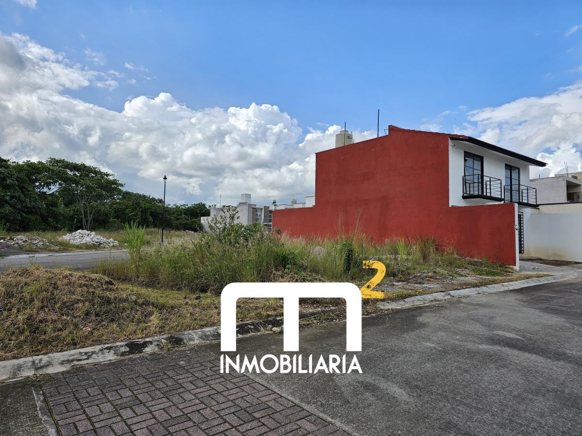 Imagen 5