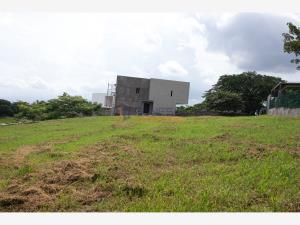 Terreno en venta en El Chivato (Providencia), Villa de Álvarez — foto 2 de 9
