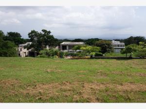 Terreno en venta en El Chivato (Providencia), Villa de Álvarez — foto 3 de 9