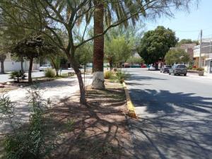 Terreno en renta en Nueva Aurora, Torreón — foto 2 de 2