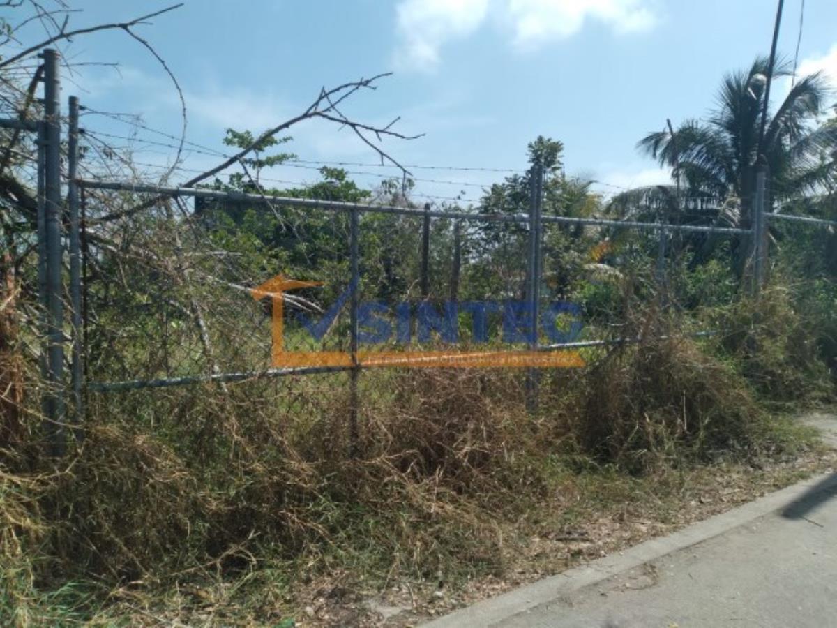 Terreno en renta en La Mata, Tuxpan — foto 1 de 7