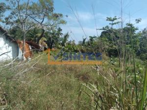 Terreno en renta en La Mata, Tuxpan — foto 2 de 7