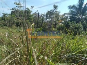 Terreno en renta en La Mata, Tuxpan — foto 3 de 7