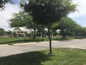 Terreno en venta en Hacienda del Rosario, Torreón — foto 3 de 7
