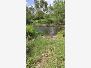 Terreno en venta en Paso de Ovejas Centro, Paso de Ovejas — foto 2 de 2