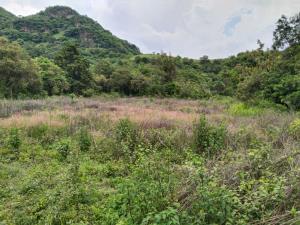Terreno en venta en San Nicolás, Malinalco — foto 2 de 7
