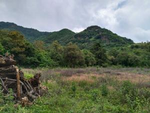 Terreno en venta en San Nicolás, Malinalco — foto 3 de 7