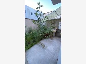 Casa en venta en Rancho Don Antonio, Tizayuca — foto 3 de 11
