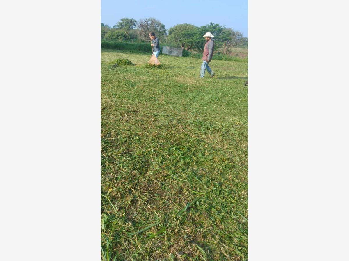 Terreno en venta en La Palma (Tercera Manzana del Barreal), Córdoba — foto 1 de 3
