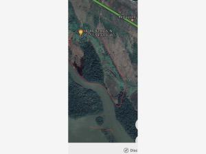 Terreno en venta en Camaronera, Alvarado — foto 3 de 3