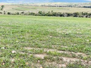 Terreno en venta en Presa del Tepozán, Aculco — foto 2 de 12