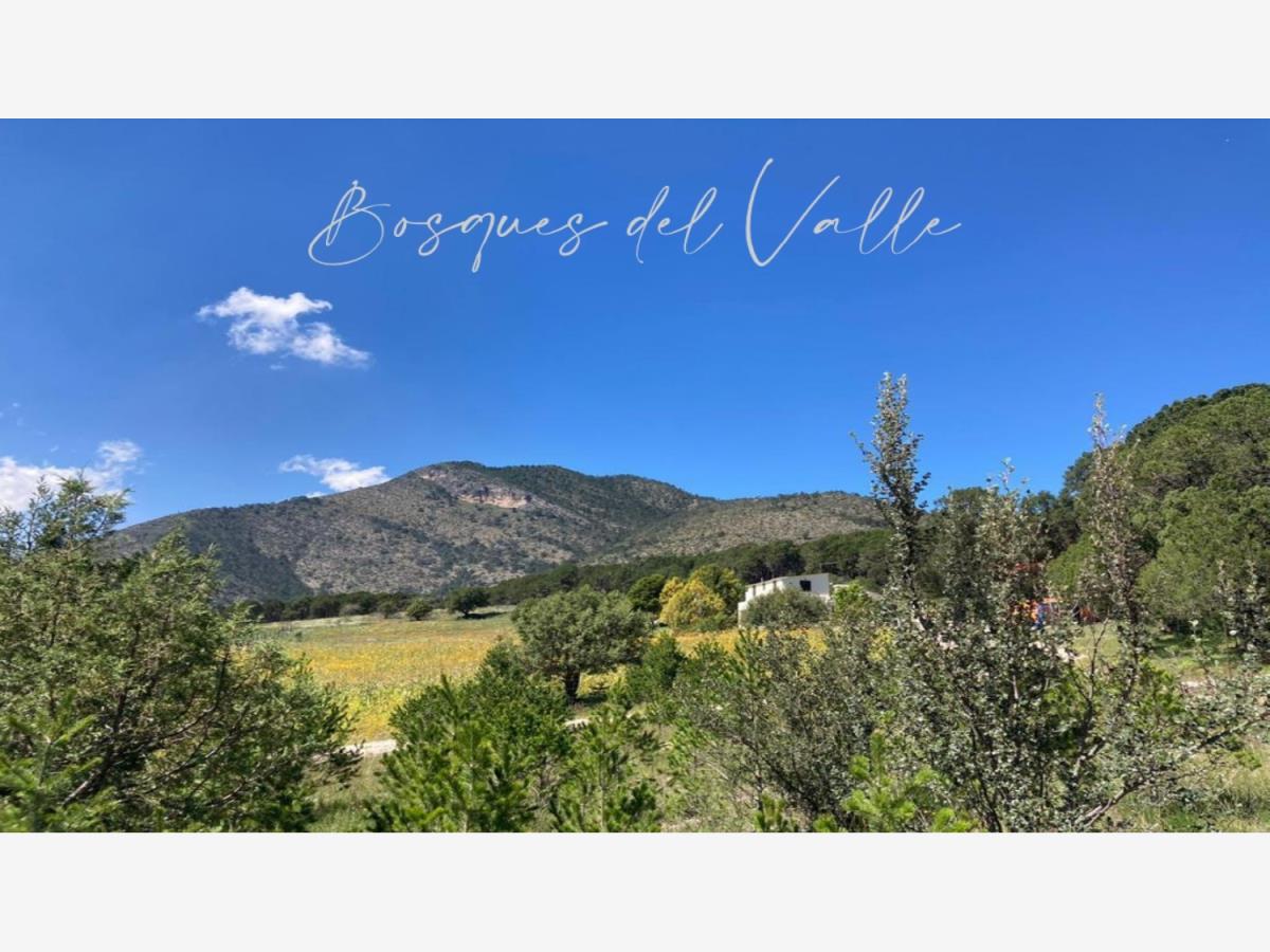 Terreno en venta en Andalucía, Saltillo — foto 1 de 10