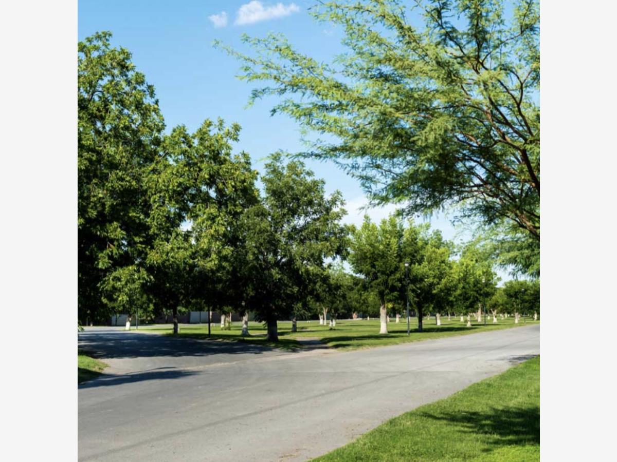 Terreno en Venta en Las Trojes, Torreón, Coahuila de Zaragoza