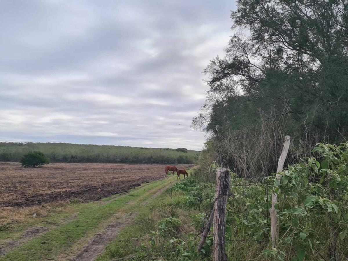 Terreno en venta en Tres de Abril (Noche Buena), Soto la Marina — foto 1 de 20