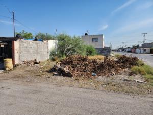 Terreno en venta en Latinoamericano, Torreón — foto 2 de 2