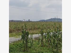 Terreno en venta en San Miguel Totocuitlapilco, Metepec — foto 2 de 3